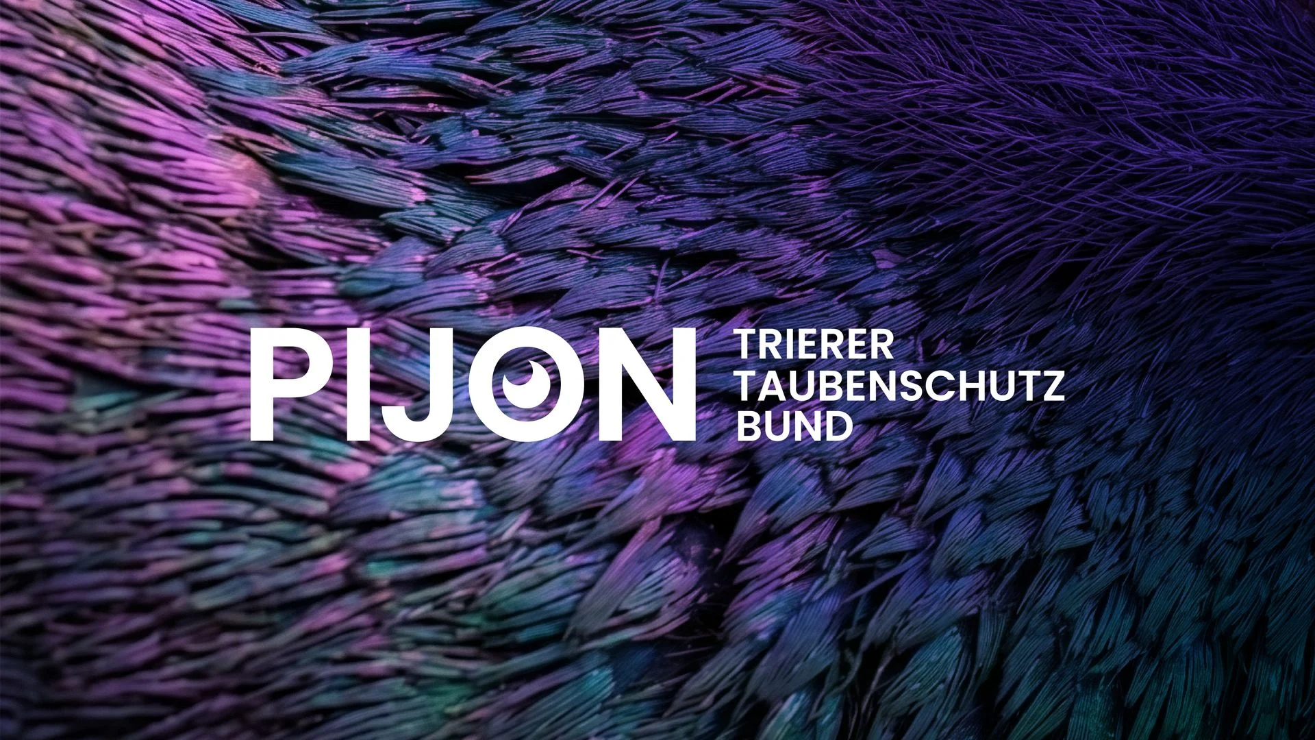 PIJON